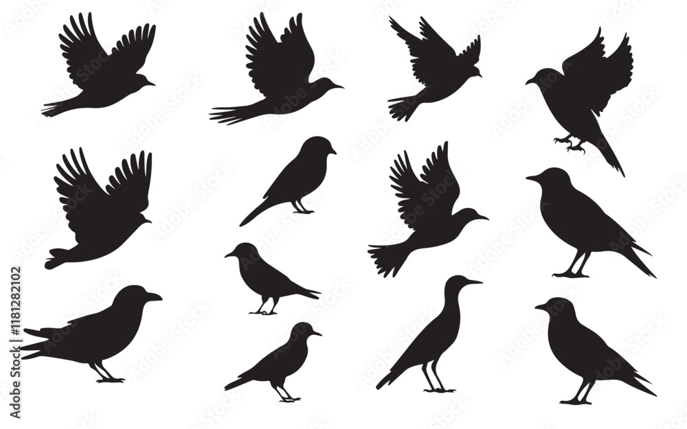 bird silhouette vector bird silhouette vector