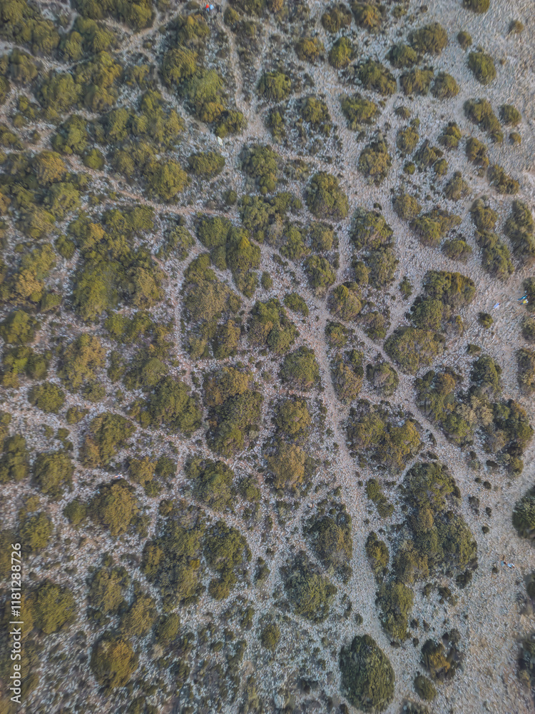 Aerial view of Cabo de Sao Vicente with green bushes and rugged terrain, Sagres, Portugal. Aerial view of Cabo de Sao Vicente with green bushes and rugged terrain, Sagres, Portugal.