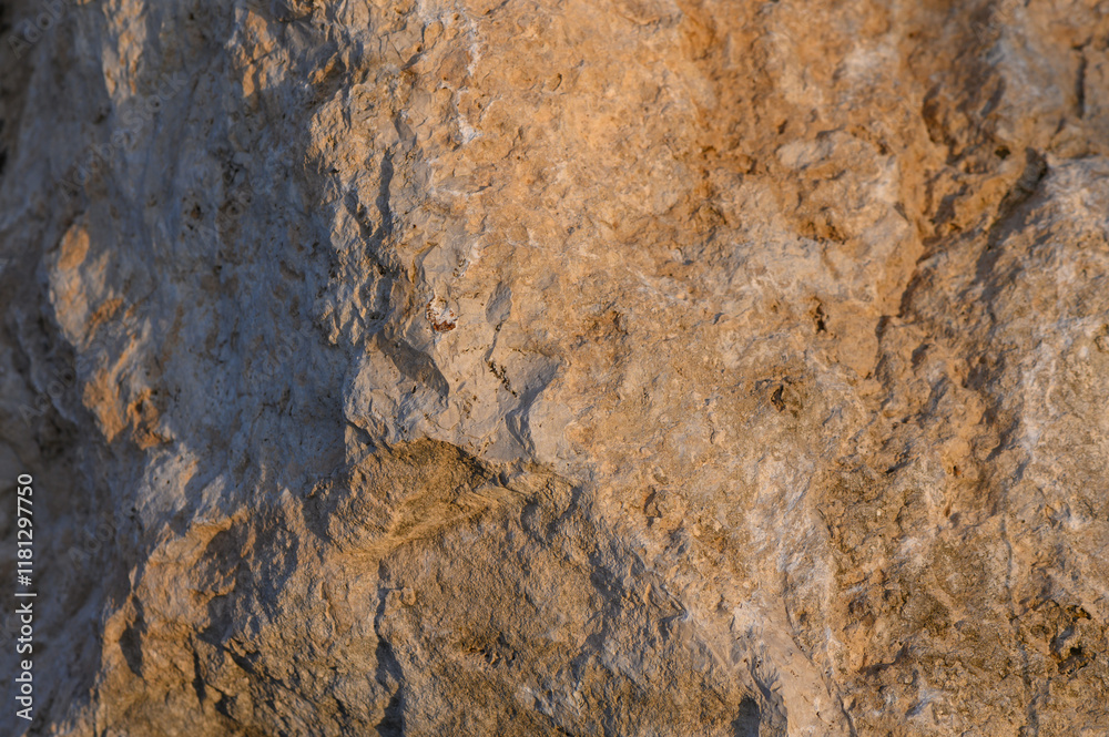 Close-up view of textured rock surface showcasing earthy tones and natural patterns under soft sunset light Close-up view of textured rock surface showcasing earthy tones and natural patterns under soft sunset light