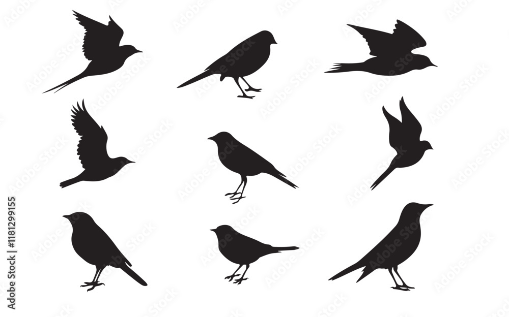 Fototapeta premium bird silhouette vector