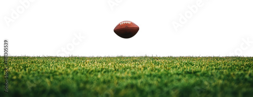 Rugby pitch isolated on transparent background. photo