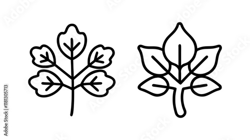 sassafras tree icon, tree line art, tree vector - simple black line art icon of sassafras tree perfect for logos, and tree-themed designs.