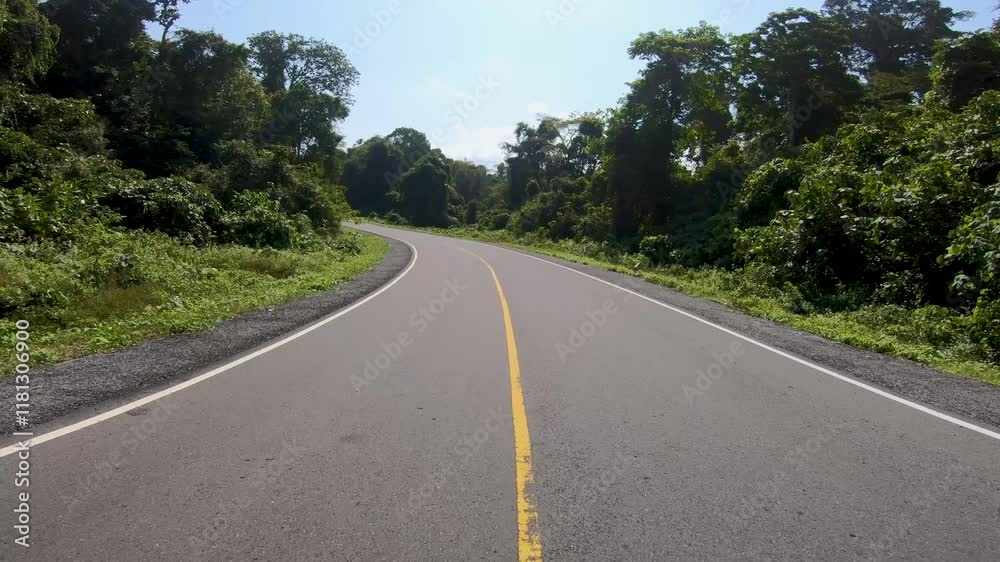 Road in the fores location of the Southern Cross Road on the island of Java Road in the fores location of the Southern Cross Road on the island of Java