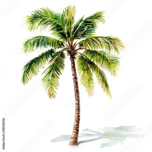 A watercolor vector of a coconut tree, isolated on a white background. Coconut tree vector.
