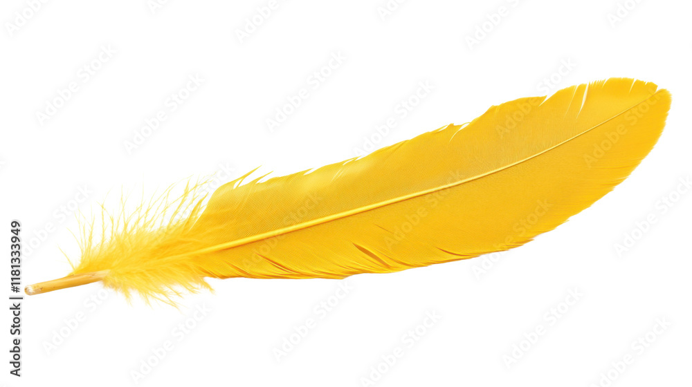 Feather transparent background Feather transparent background