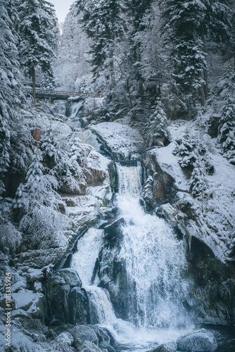 Triberger Wasserfall
