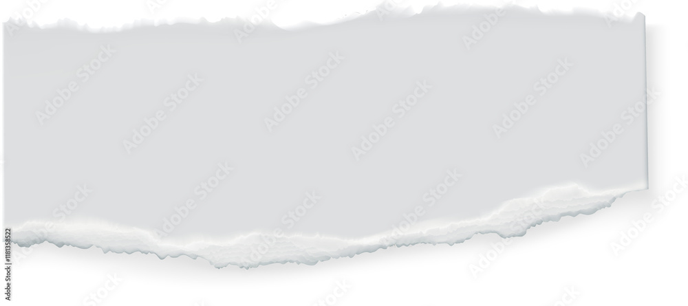 Ripped Paper Edge