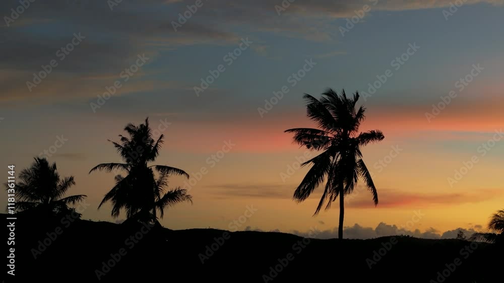 Silhouette of Palm trees during sunset in the Philippines Silhouette of Palm trees during sunset in the Philippines