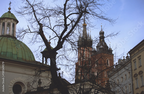 Historic church towers framed by bare tree