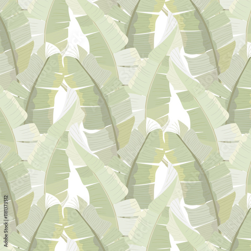 Illustration with leaves on a white background.Vector seamless pattern with palm leaves on a white background.