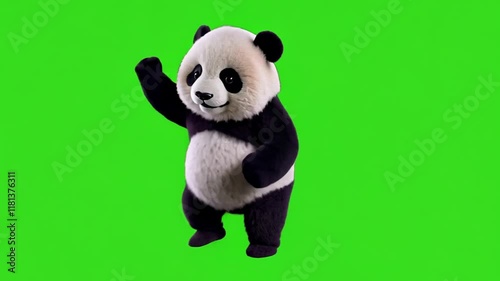 Looped dancing baby Panda bear isolated on green chroma key background. Full body shot, alpha transparent overlay