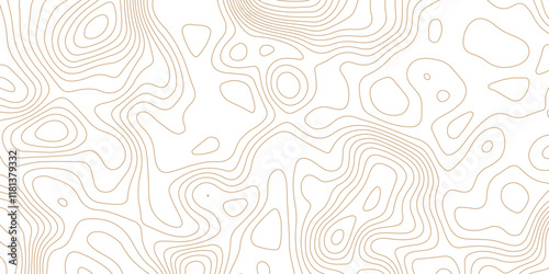 Topographic map lines, contour background. Image grid geographic relief topographic contour line maps cartography texture. Wood texture imitation. similarcartography, Topography, geography,  Business.