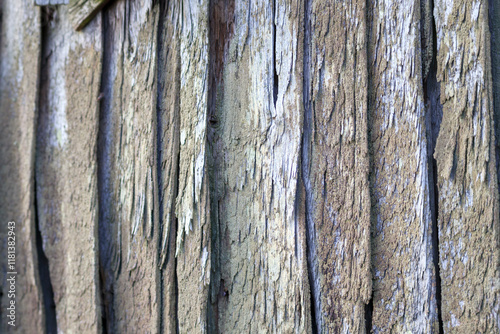 
A close-up of the surface of an old, run-down wooden plank, badly damaged by insects, possibly wood-borers.