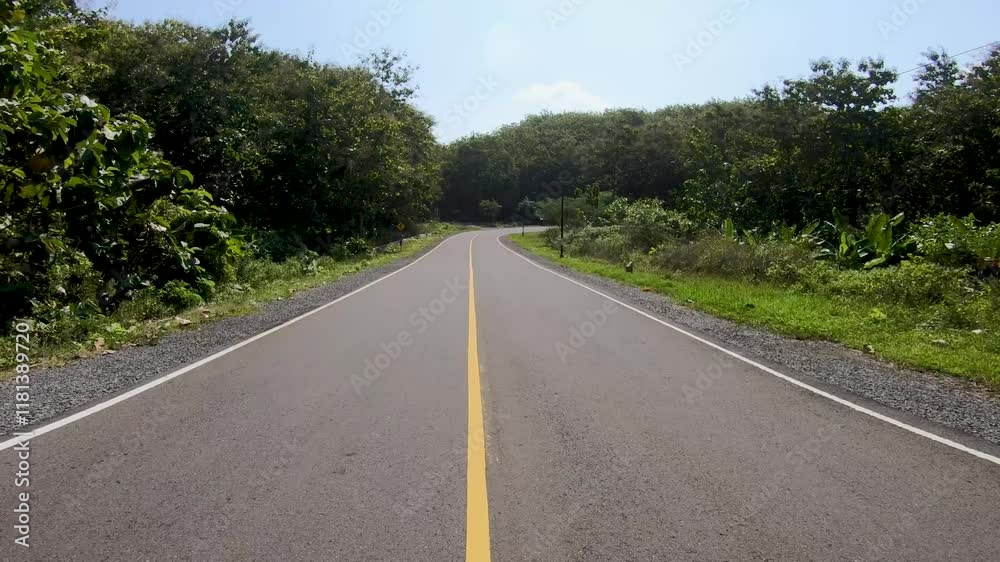 Road in the fores location of the Southern Cross Road on the island of Java Road in the fores location of the Southern Cross Road on the island of Java