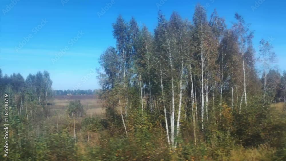 View from the train window of a beautiful landscape of fields and blue sky in summer. Copy space for text View from the train window of a beautiful landscape of fields and blue sky in summer. Copy space for text