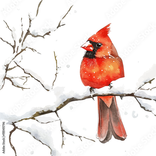 A watercolor painting of a cardinal singing in a snowy tree, isolated on a white background. Cardinal vector.
