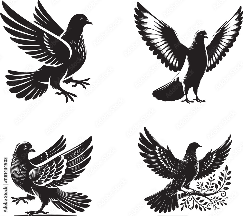 Obraz premium Silhouette of Pigeon isolated with white background