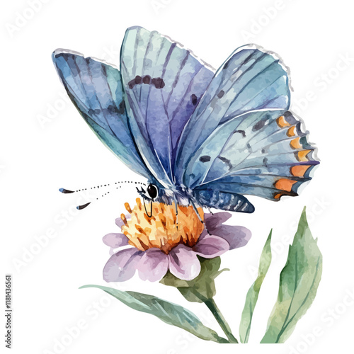 A watercolor drawing of a butterfly resting on a flower, isolated on a white background. Butterfly vector.
