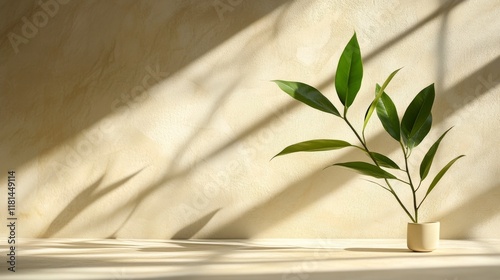 Green leaves casting shadows on a soft teal surface in natural light