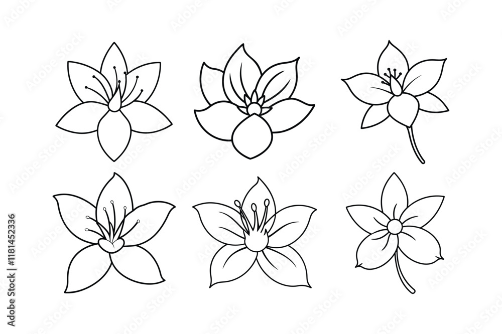 Caper (Capparis spinosa) spice line art vector illustration Caper (Capparis spinosa) spice line art vector illustration