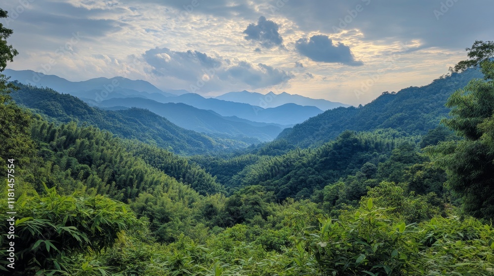 Majestic Mountain Range and Lush Forest Scenery Majestic Mountain Range and Lush Forest Scenery