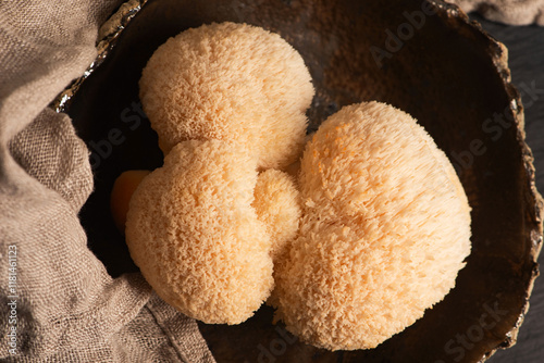 Hericium erinaceus mushroom monkey head mushroom, bearded tooth fungus, bearded hedgehog mushroom, pom pom, lion`s mane mushroom. Far Eastern medicine use this mushroom photo