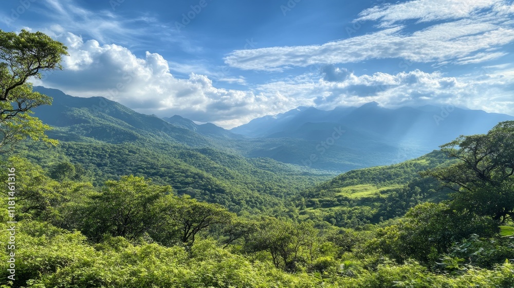 Fototapeta premium Majestic Mountain Valley Scenery