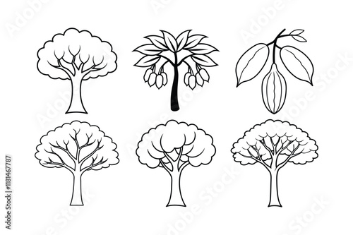 Carob (Ceratonia siliqua) spice line art vector illustration