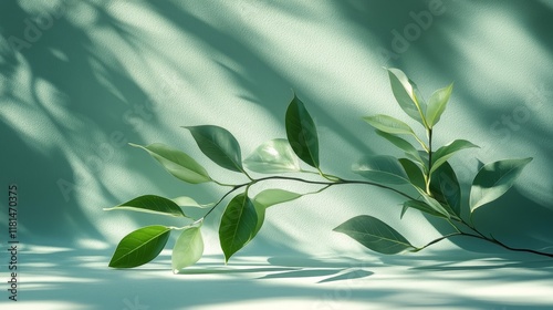 Green leaves casting shadows on a soft teal surface in natural light