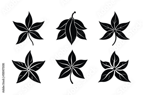 Cassia (Cinnamomum cassia) silhouette vector illustration