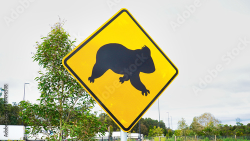 Canvas Print Warning sign alerts drivers to the presence of koalas crossing the road in a nat