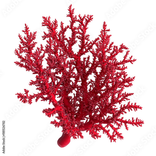 Vivid Red Coral Branch Stunning Ocean Beauty Intricate Underwater Life photo