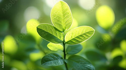 Green Leaves Thrive in Sunl...