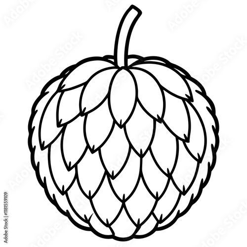 Balsam Apple Vector Art