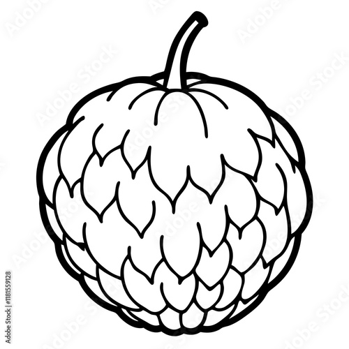 Balsam Apple Vector Art