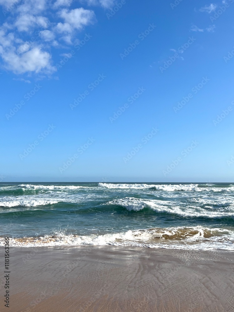 waves waves