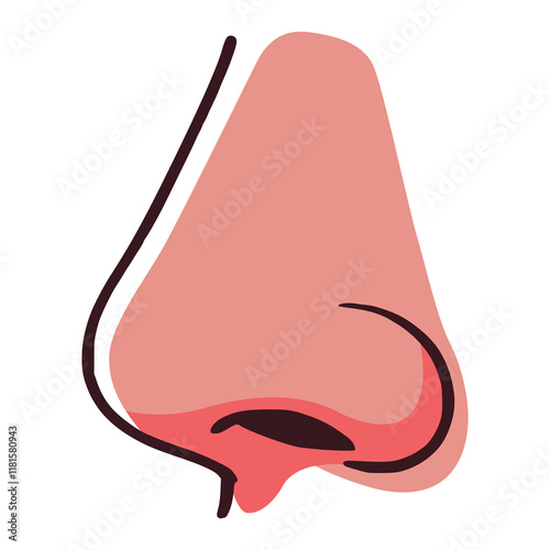 human nose part biology flat color vector illustration template design