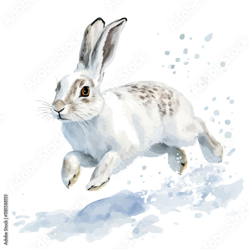 A watercolor vector of an arctic hare bounding through snow, isolated on a white background. Arctic hare vector.
