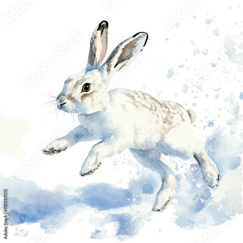 A watercolor drawing of an arctic hare bounding through snow, isolated on a white background. Arctic hare vector.
