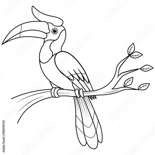 Cartoon hornbill on the branch line art