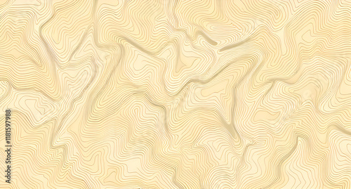 Topographic Contour Map with Geographic Grid - Abstract Terrain Background