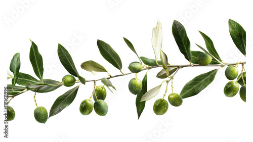 Wallpaper Mural Fresh Green Olives with Leaves Isolated on White Background Perfect for Culinary Uses Torontodigital.ca