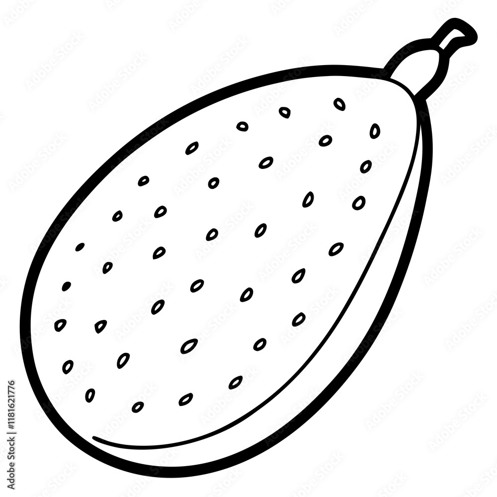 Finger Lime Vector Art Finger Lime Vector Art
