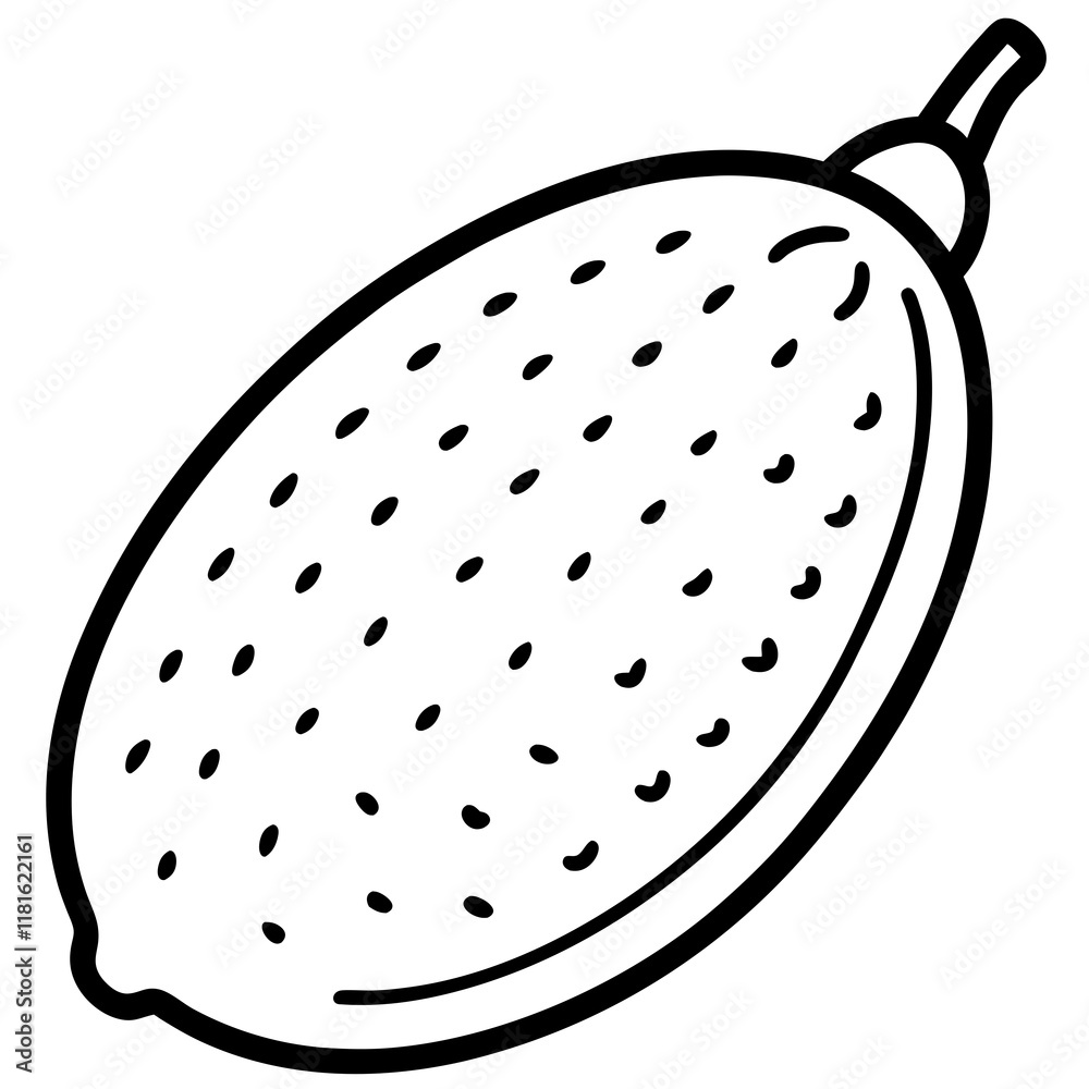 Finger Lime Vector Art Finger Lime Vector Art