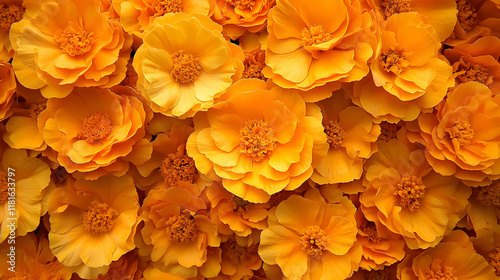 Golden Flowers Bloom Beauti...