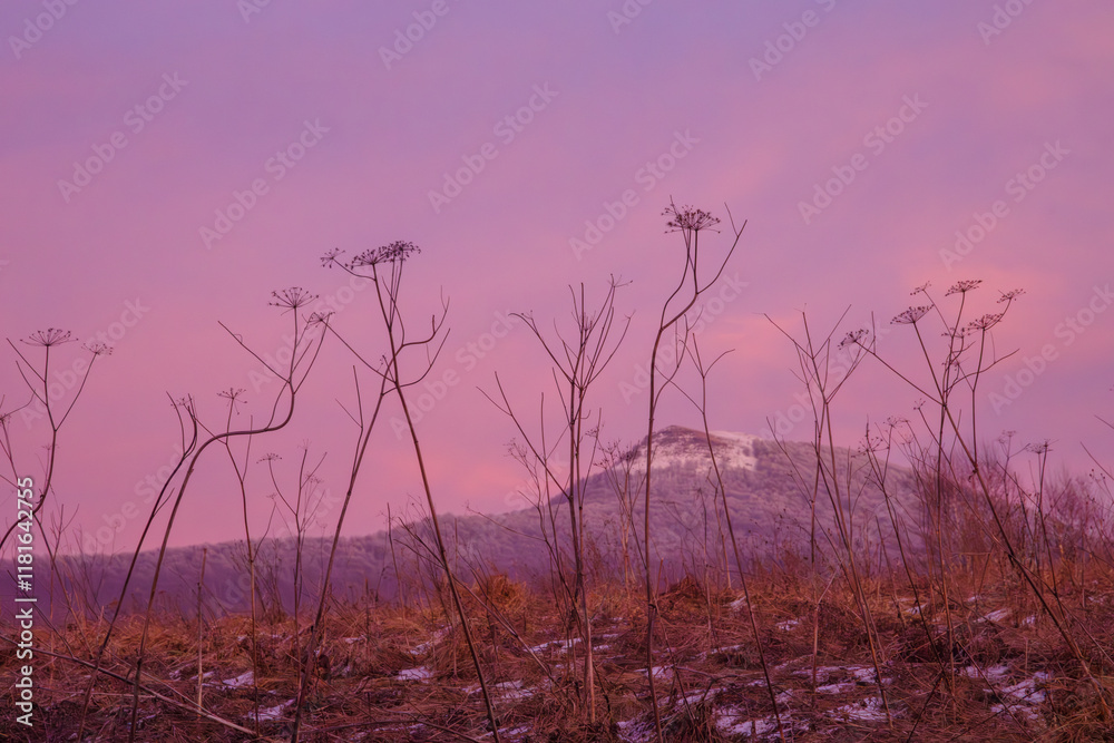 Obraz premium Beautiful mountain landscape with colorful sky. Polish Bieszczdy