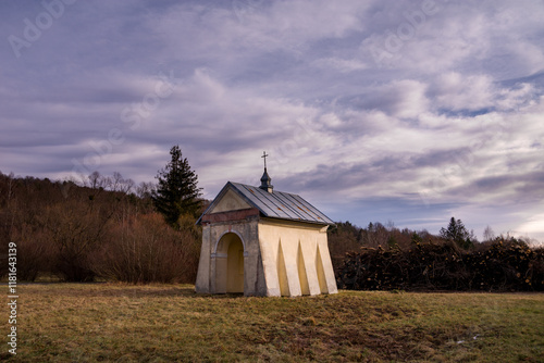 Fototapeta Naklejka Na Ścianę i Meble -  Bieszczadzki krajobraz, Polska
