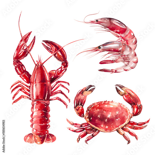 Set of crustacean sea animals, shrimp, lobster, crab watercolor illustration isolated on white