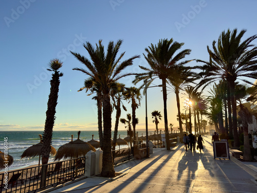 beautiful sunset at the promenade with palms in Marbella, Malaga, Costa del Sol, Andalusia, Spain photo