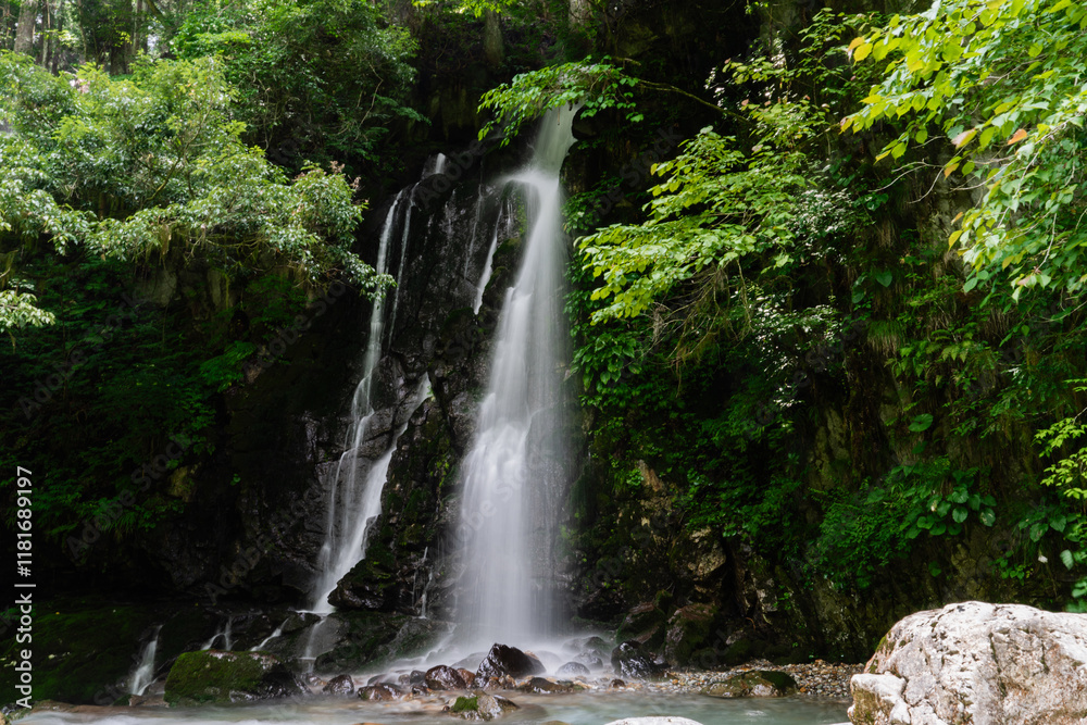 Naklejka premium 滝